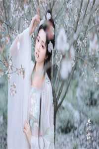 骗子的悲哀：被骗的人先动了真心后续+结局