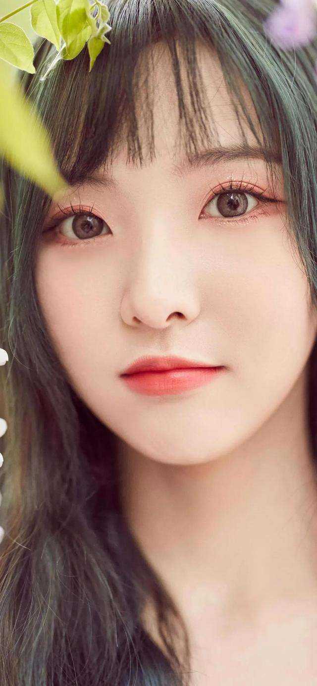 宇宙也曾溺星辰连载