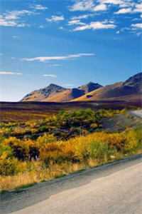 风月不寄信相思不回头未删节