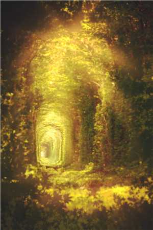 失忆后才知道，追了我三年的人是死对头后续+结局