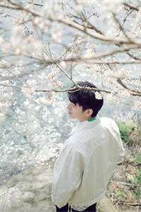 寒江雾锁孤舟泊全球完整文集