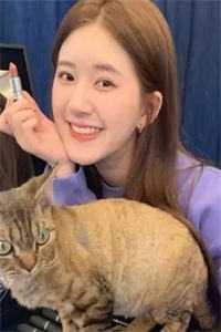 楠木霜尽旧恨消高质量好文