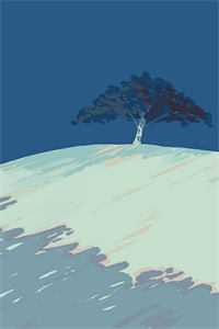 玫瑰到了花期列表