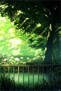 灯火已歇，爱恨长绝免费阅读全文