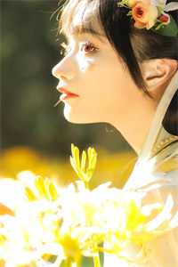 山雨来时雾蒙蒙小说