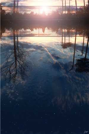 一朝梦碎负深情后续+无弹窗