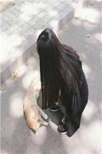 重生后军官盯上我，夜夜犯规吻不停结局