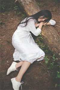 山河遥寄半生思免费看