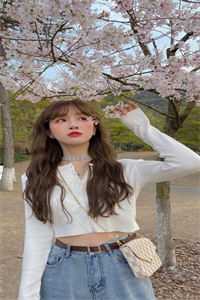 半盏花灯枕明月全局