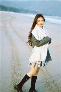 明月何曾照两乡结局+番外