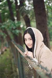 冬楼香入碧纱笼完整作品