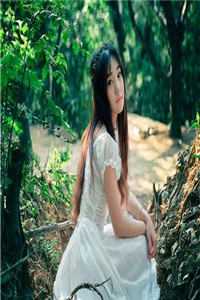 冬楼香入碧纱笼阅读