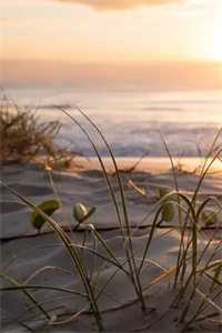 煦日消散于山川宁以煦商屿结局+番外