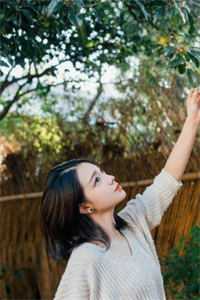 梨花落尽，云散夜未明无删减