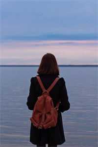 晚风辞朝露短篇小说阅读