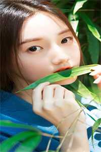 青山依旧在，不见远行人小说结局