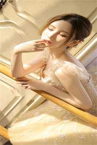 风不曾真正停留全集