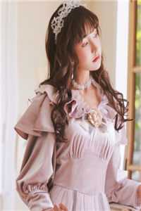 娘子她又失忆了好书