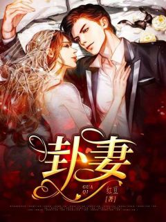 情似残梦随风逝全文免费