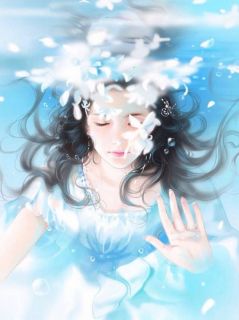 凤不栖桐人不语广告+结局