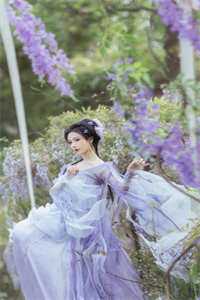 你如夏风迟未至安夏谢迟前文+后续