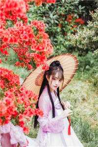 未婚夫喜欢小秘书，我决定成全无删减+无广告