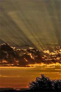 协议到期不续，矜贵周公子跪求别走全球完整文集