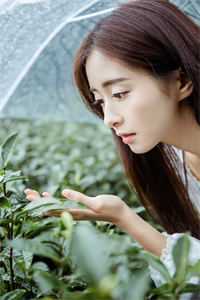 我寄长风以沉默无删版