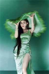 雾隐那年桥谢凛钟晚吟全文+免费