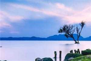 雾沉星未眠在线阅读