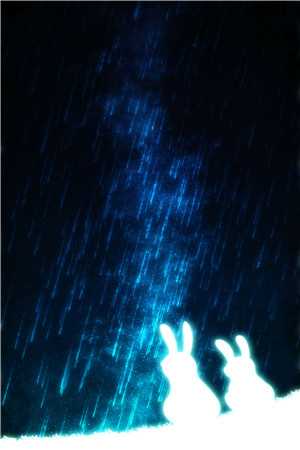 灯火已歇，爱恨长绝后续+结局