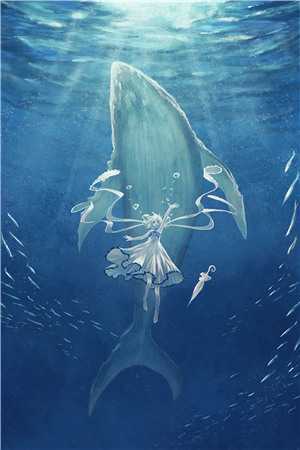 你在旺角等暖阳免费