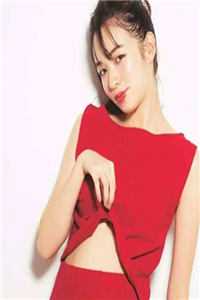 长风万里不递书傅恃明黎春夏前文+后续