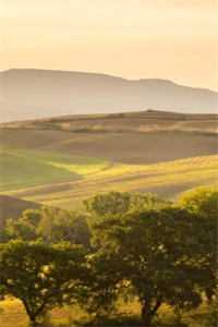 我是山川守着流年免费阅读