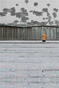 情陷浅水湾免费看