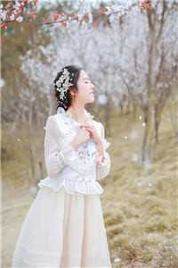 我摘星辰缀她衣的小说