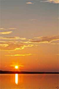 春棠未识少年游无广告