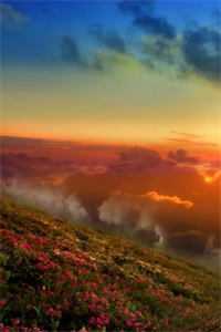 夫君要和寡嫂合葬，重生后我掀桌了结局+后续