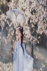 灯下不见故人愁结局