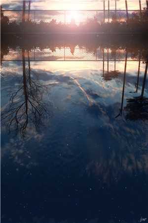 红楼灯火阑珊兰漪宁从闻无删减+无广告