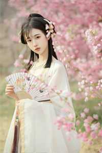 朝来寒雨晚来风精品篇