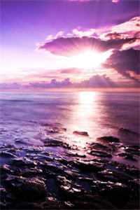 绝嗣太子有娃后，她母凭子贵完整阅读