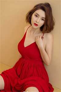 港城风起雪又落全文阅读最新