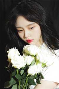 红楼灯火阑珊小说大结局