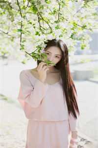 人间自是有情痴后续