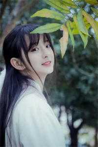 他曾与星光诉爱意完整阅读