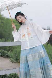 心事终成风中雪全本