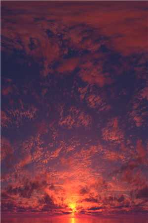 娇妾入怀：侯爷，别太宠最新热门小说