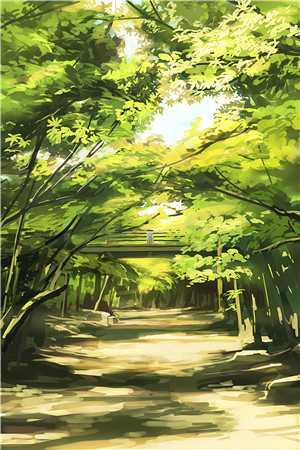 和姐姐交换剑后，我飞升成神合集711好看的小说推荐完结