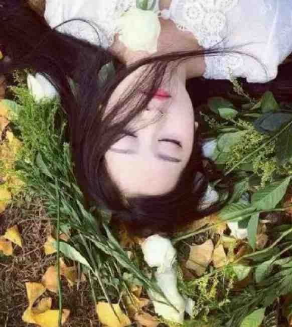 当青楼花魁遇上穿越女完整作品